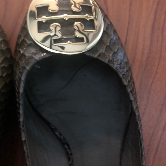 Reva Litus Snake Print (Metal Logo) - Picture 3 of 8